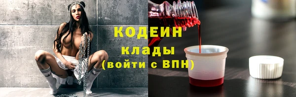 гидра Гусь-Хрустальный