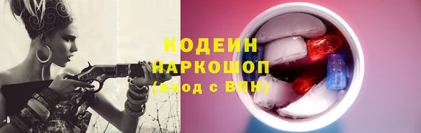амф Гусев