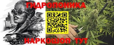 крисы Гатчина