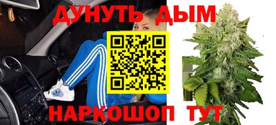 крисы Гатчина
