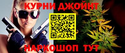 крисы Гатчина
