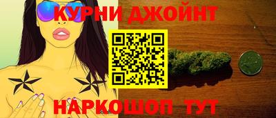 крисы Гатчина