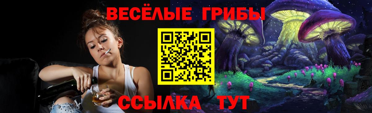 Галлюциногенные грибы мицелий Когалым